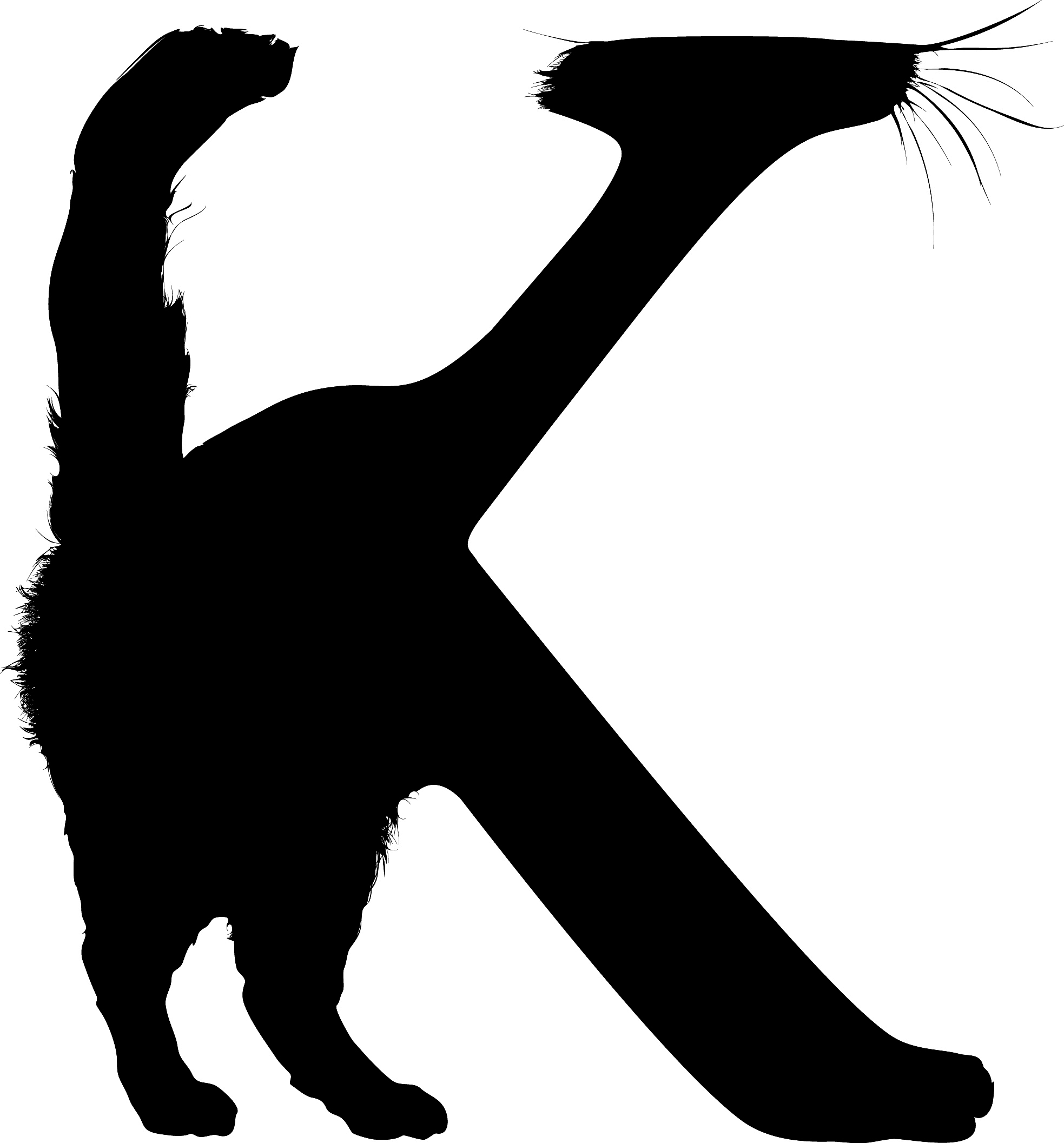 kattenbak